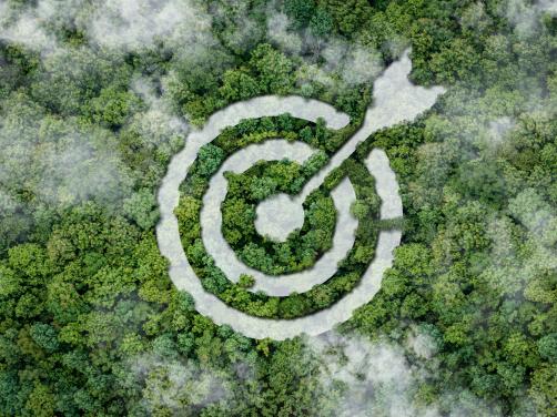sustainability