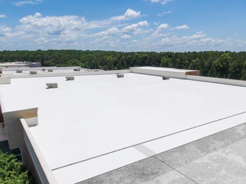 ταράτσα με μόνωση σε δάσος