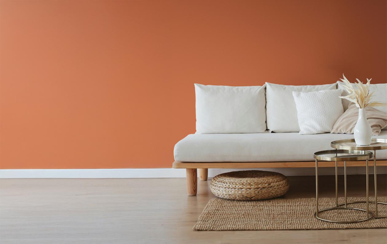 color_of_the_year